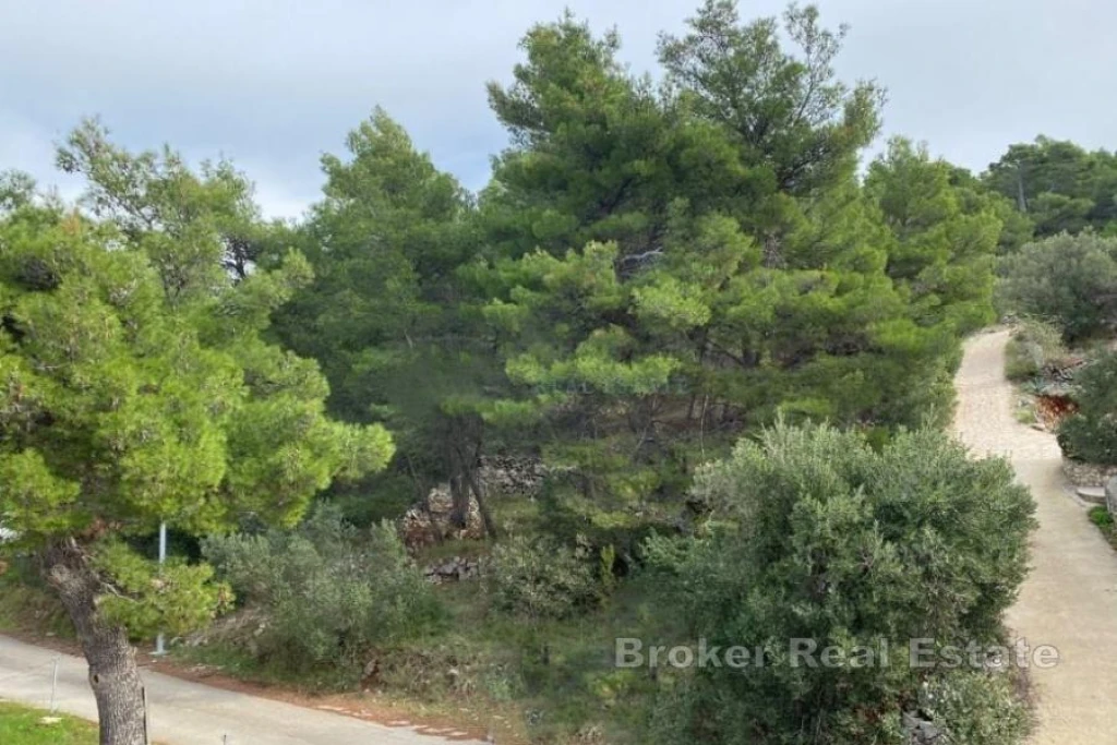 Building land near the sea