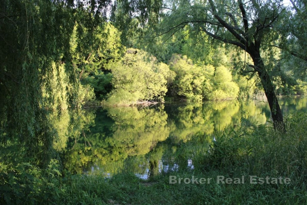 Building Plot with Approved Main Project on the Riverbank