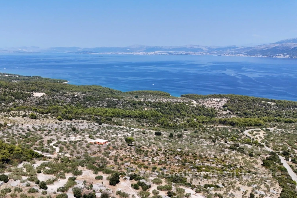 Unique property with olive grove and spectacular views