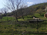 Eladó Telek