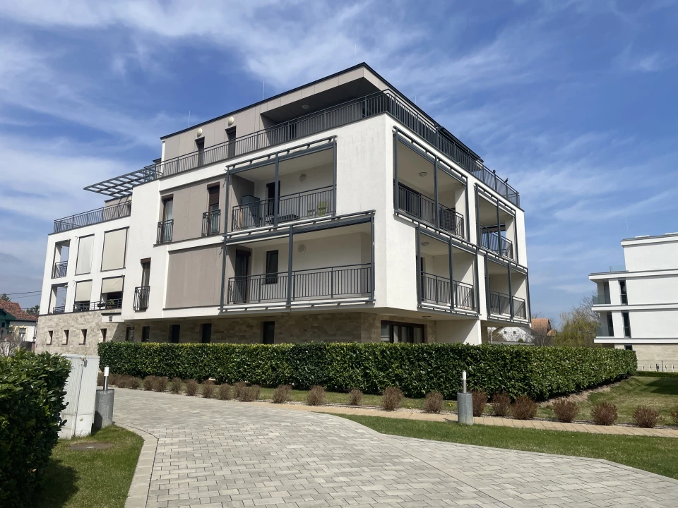 c3-1-name c2-19-name, Csopak