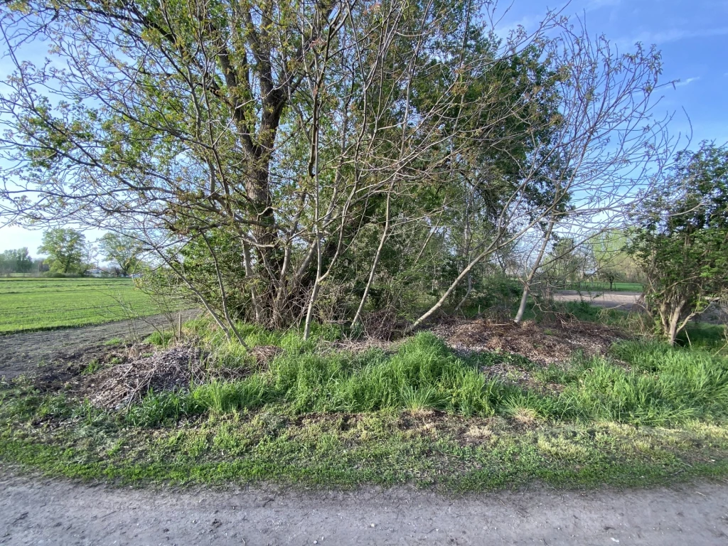 Eladó Telek, Komárom Gerlai dülő 1.300.000 Ft