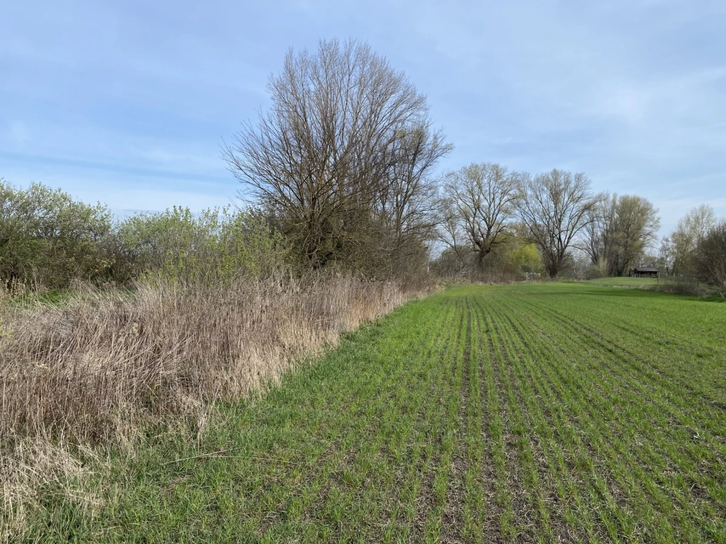 Eladó Telek, Komárom Gerlai Dülő 5.000.000 Ft