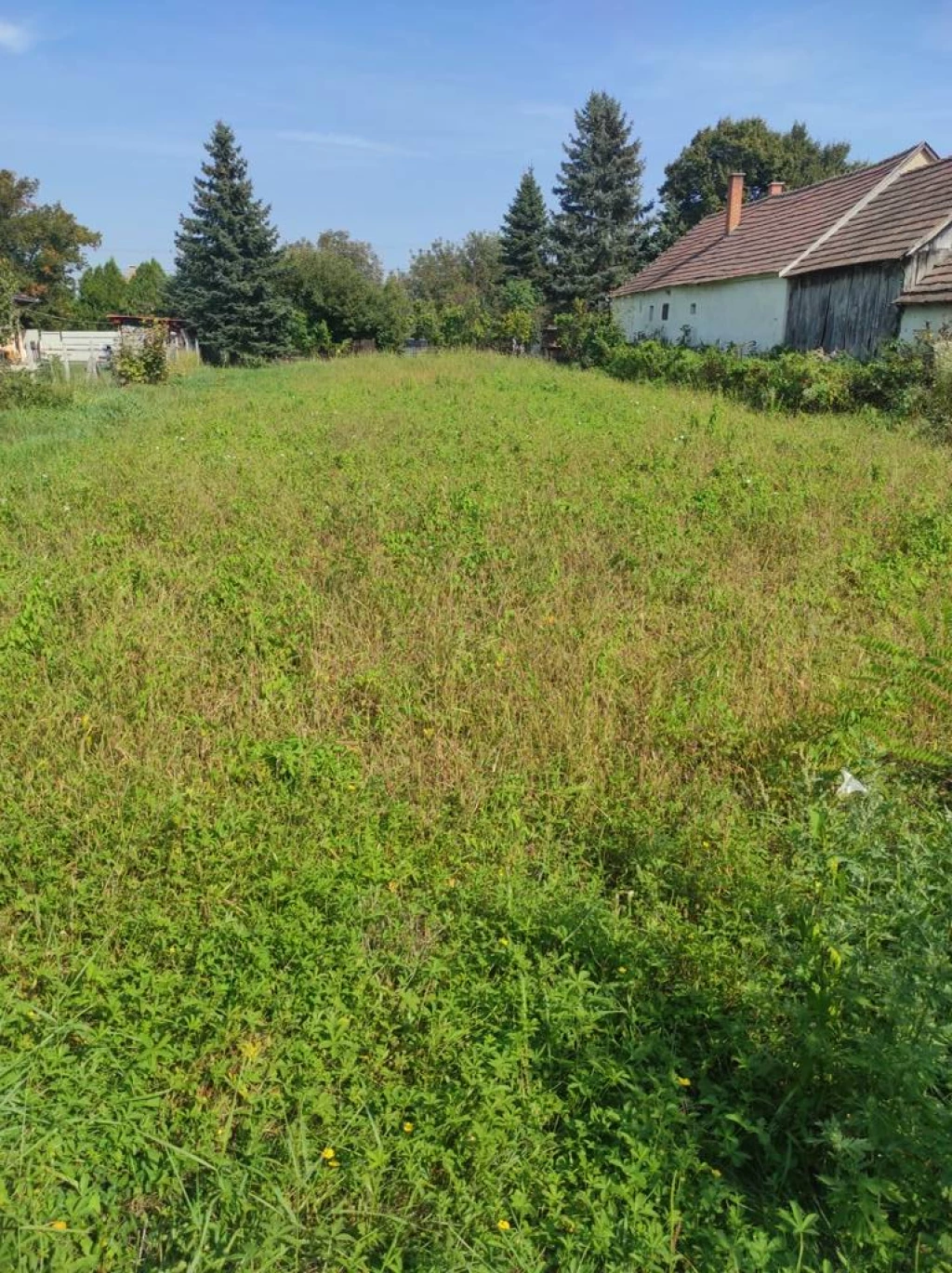 Eladó egyéb telek, Vág