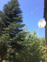 Eladó Telek