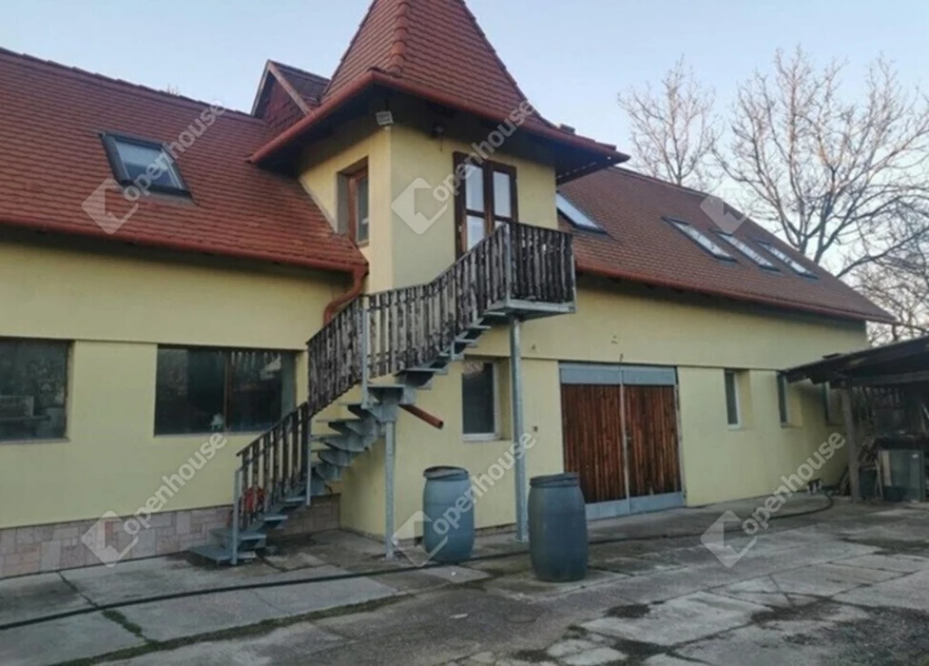 Kattanj rá Tatán!  Megtaláltad a Táncsics utca legmenőbb projektjét!