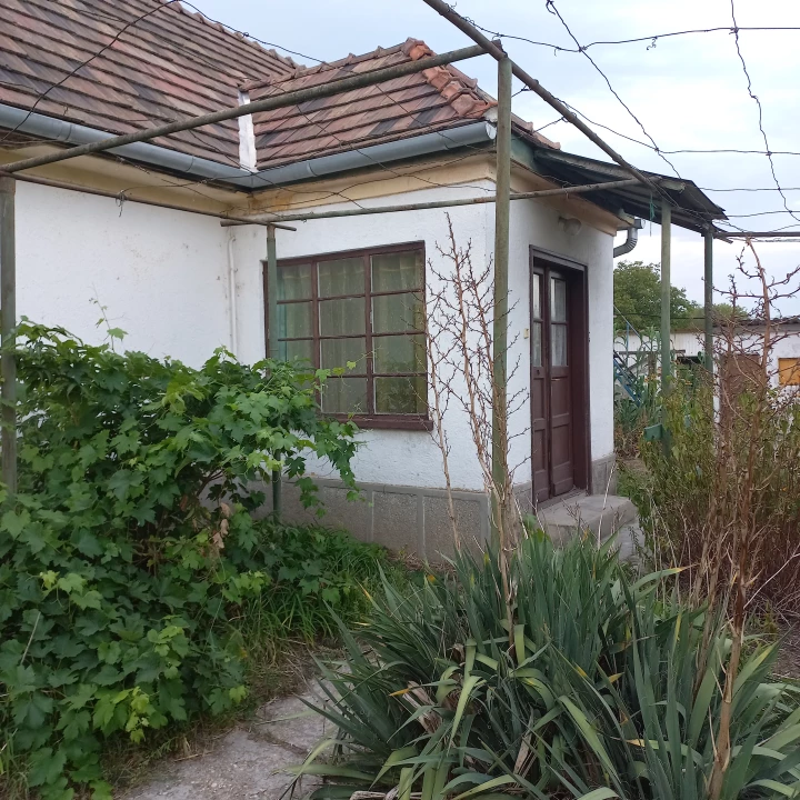 For sale house, Naszály