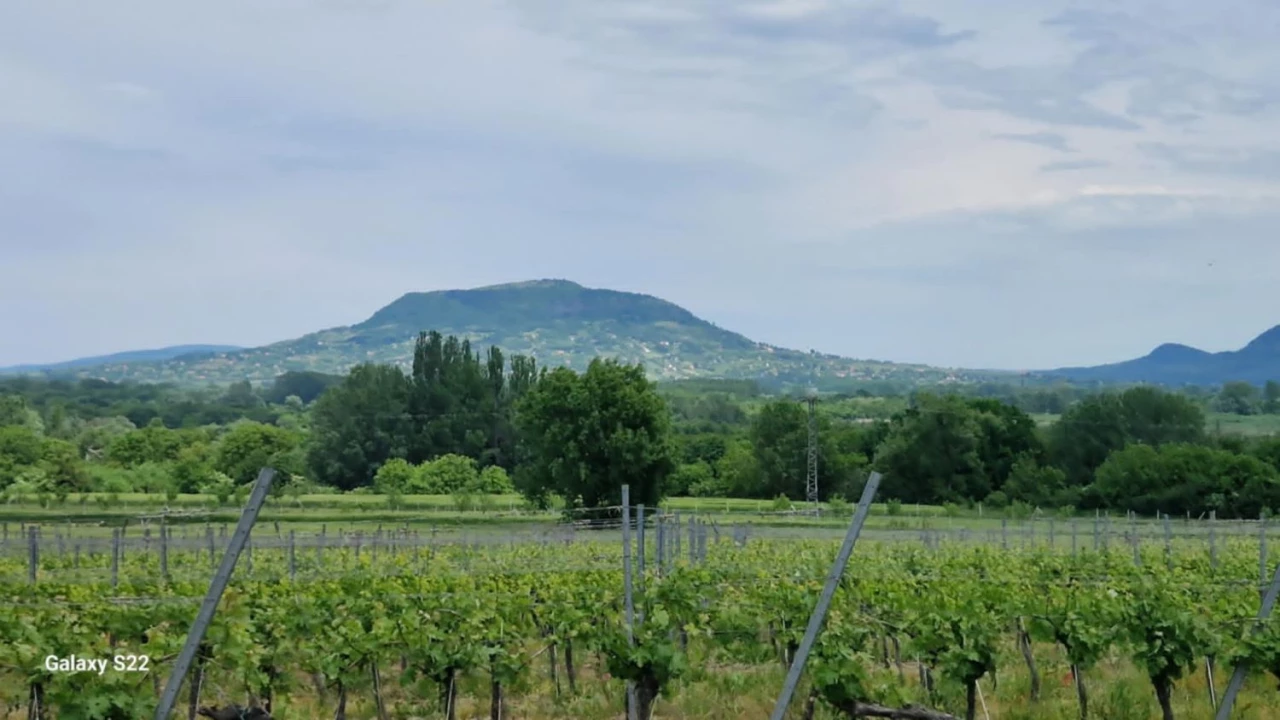 For sale holiday house, summer cottage, Balatonederics