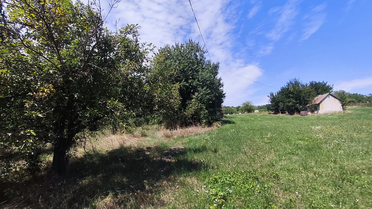 c3-1-name c2-81-name, Alsópáhok