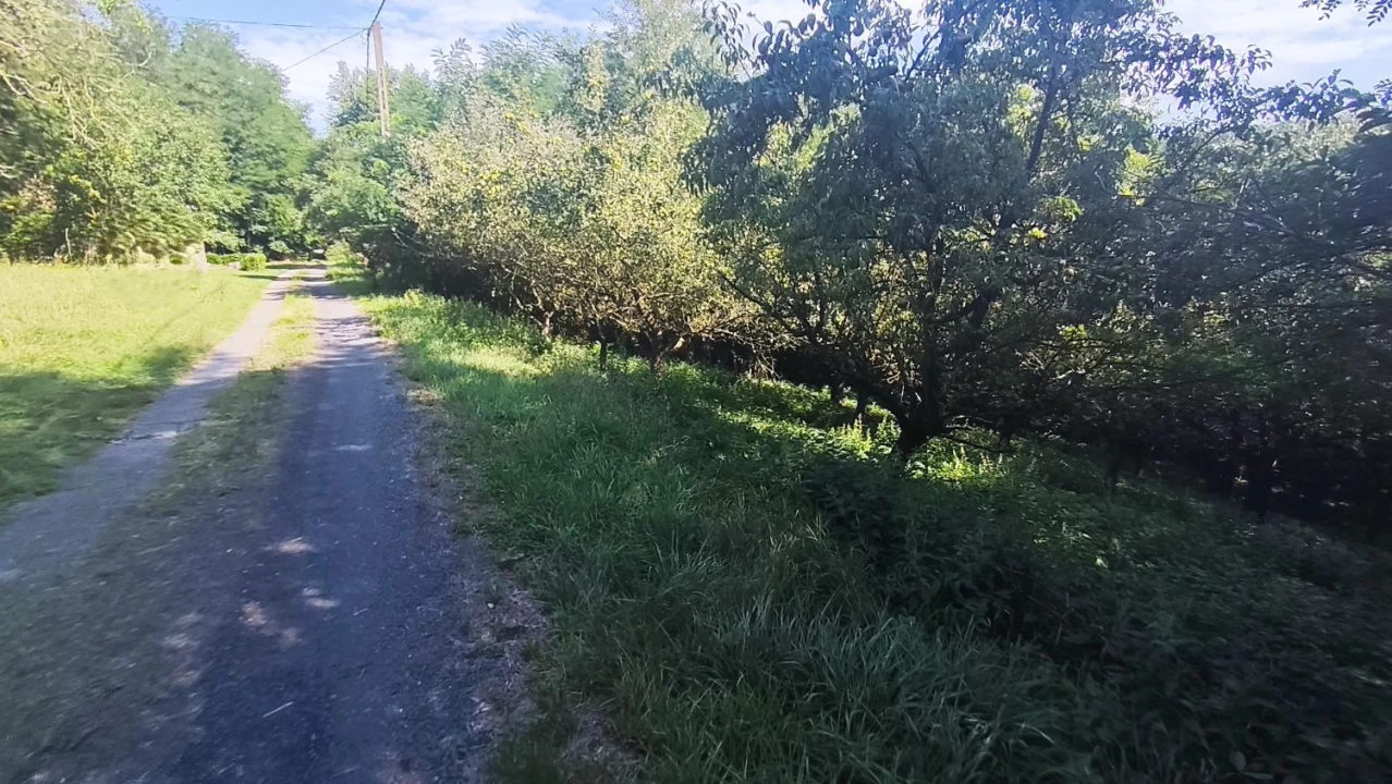 Eladó zártkert, Zalaapáti