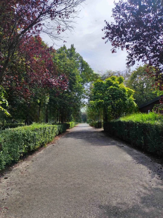 Eladó üdülő, nyaraló, Hévíz