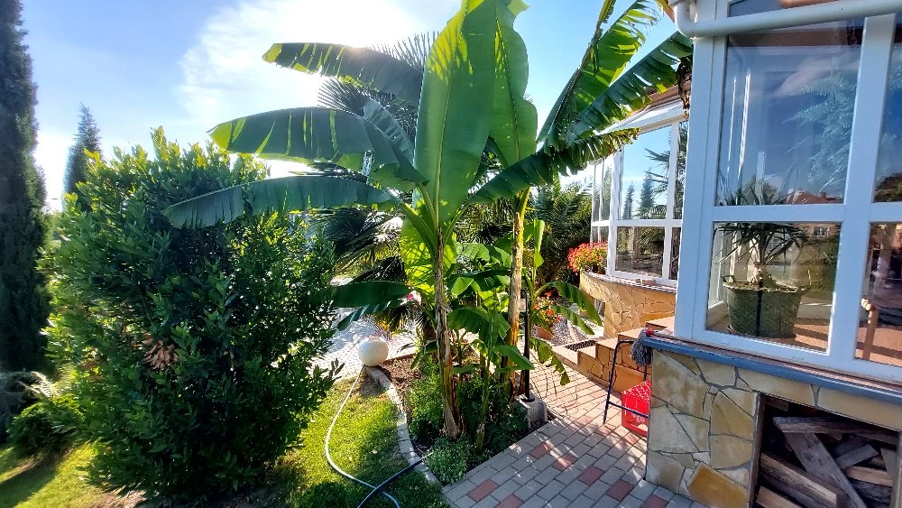 Eladó családi ház, Balatongyörök