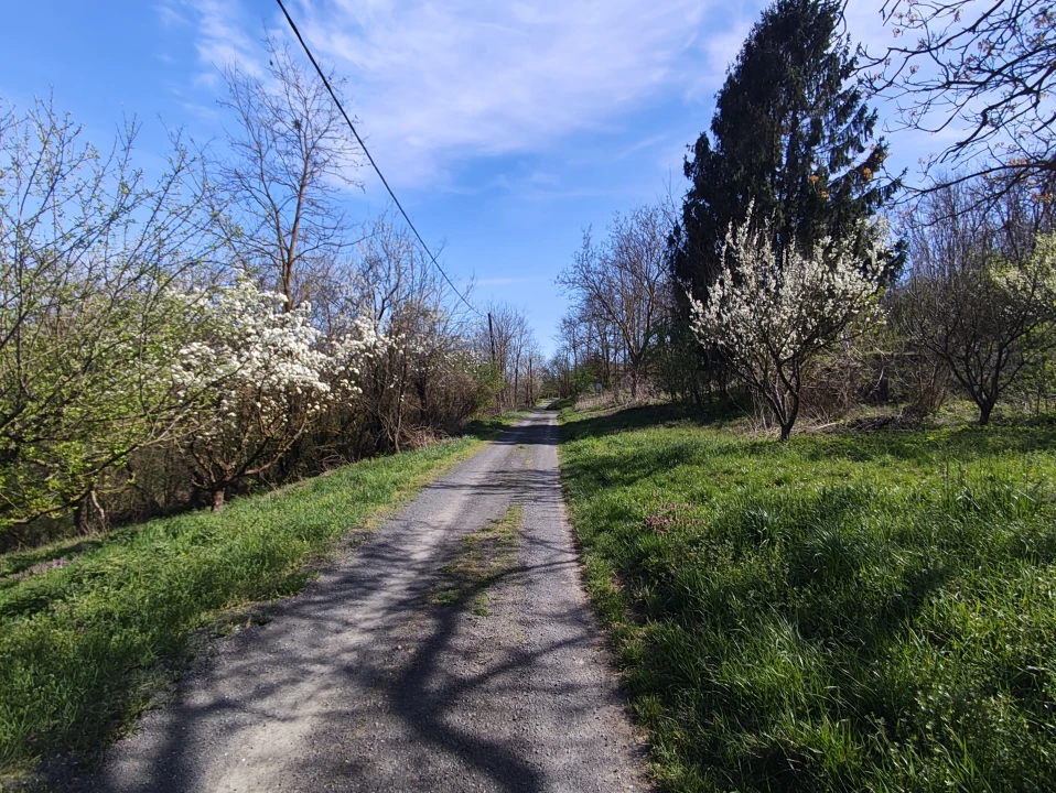 Eladó hétvégi ház, Zalaapáti