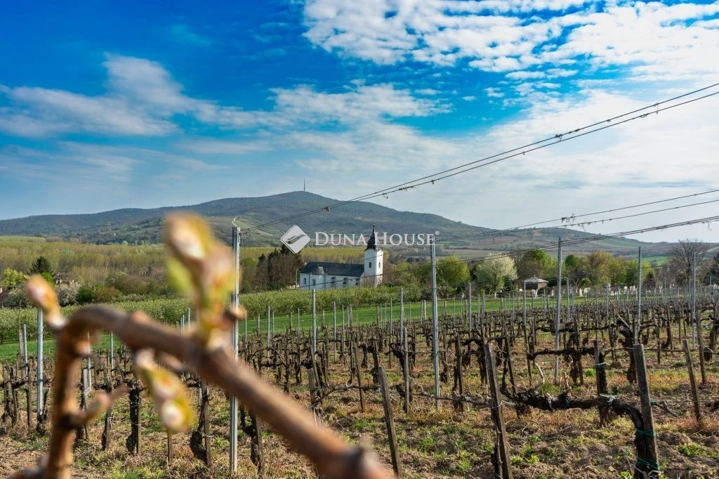 c3-1-name c2-58-name, Bodrogkeresztúr