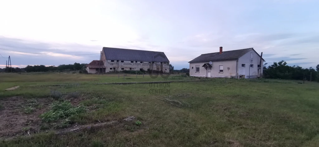 Eladó külterületi telek, Nagyszentjános, Nagyszentjános
