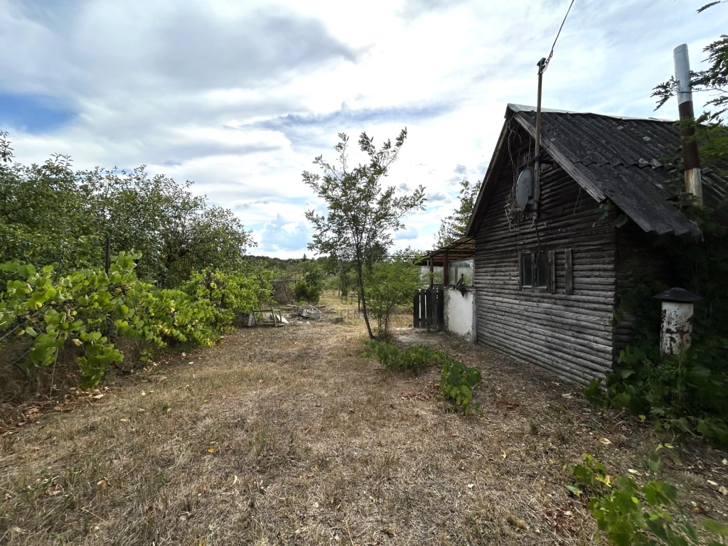 Eladó külterületi telek, Környe, Homokdűlő