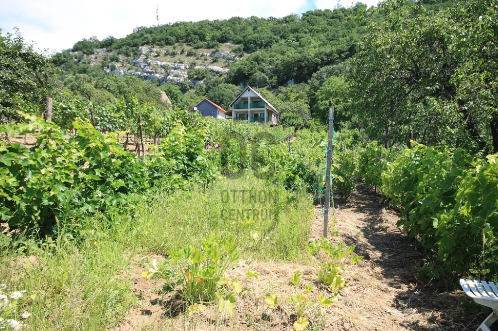 For sale periphery plot, Tatabánya, Turul hegyoldal