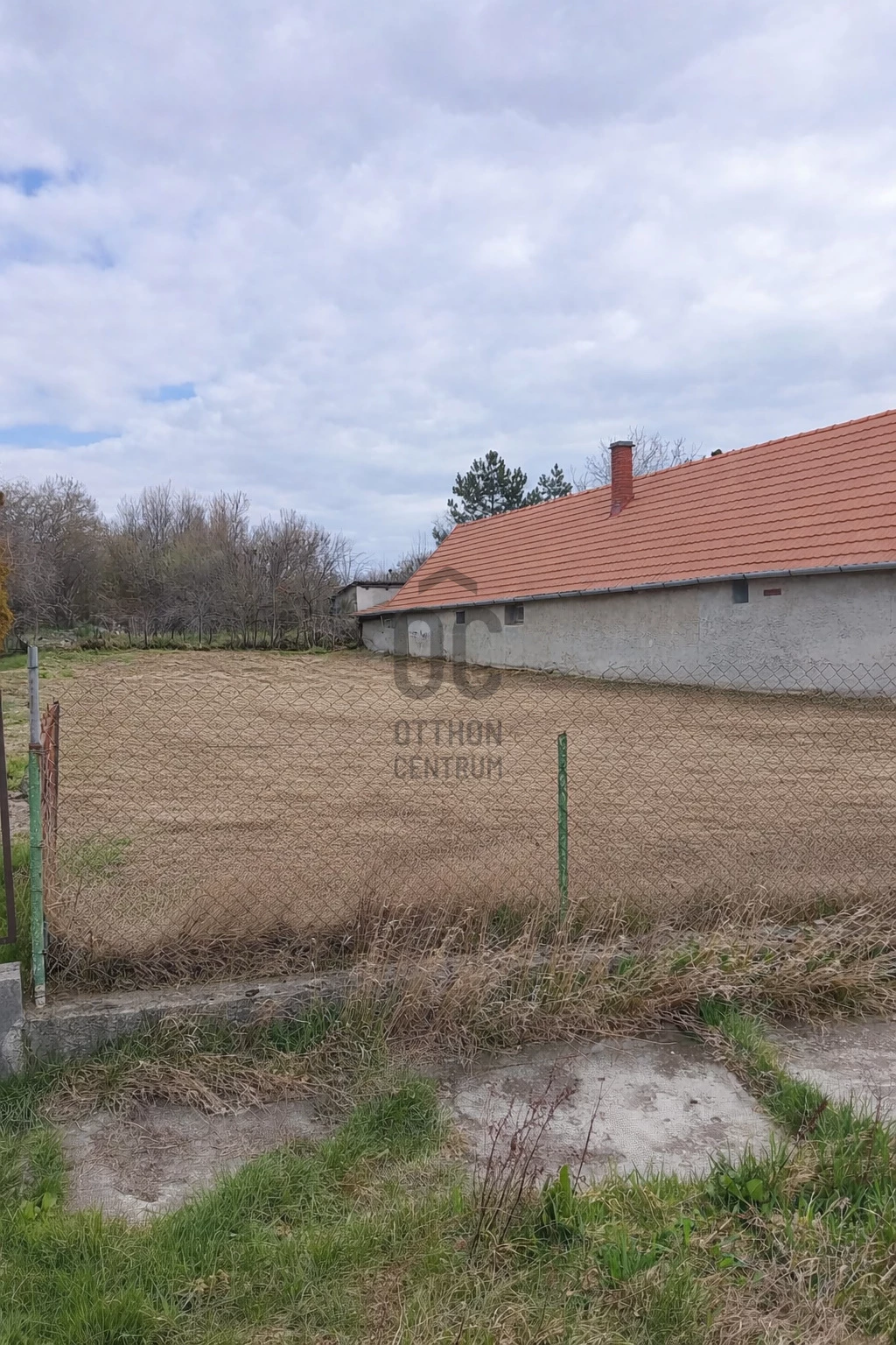 c3-1-name c2-50-name, Szár, Szár