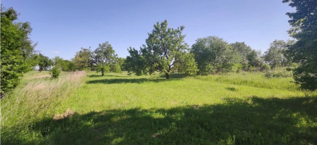 ELADÓ telek SAJÓVÁMOS Béke utcán