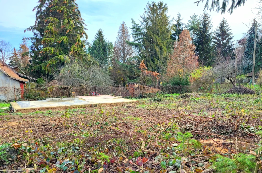 ELADÓ Miskolcon az Egyetem mellett 1974 m² területen elhelyezkedő telek!