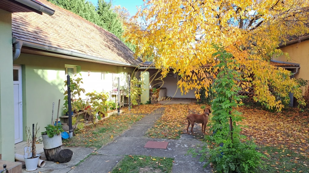 For sale house, Szászvár