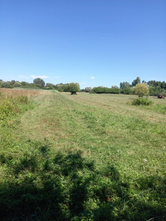 Eladó szántóföld, legelő, Nemesvid