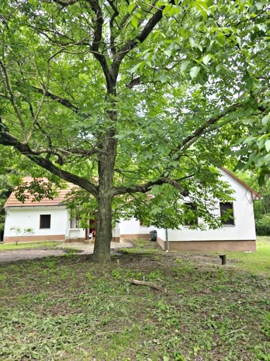Eladó családi ház, Bodrog