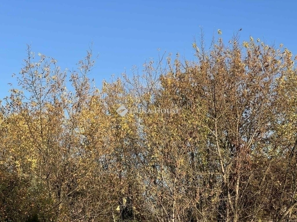 For sale holiday lot, Szeged, Kapor utca