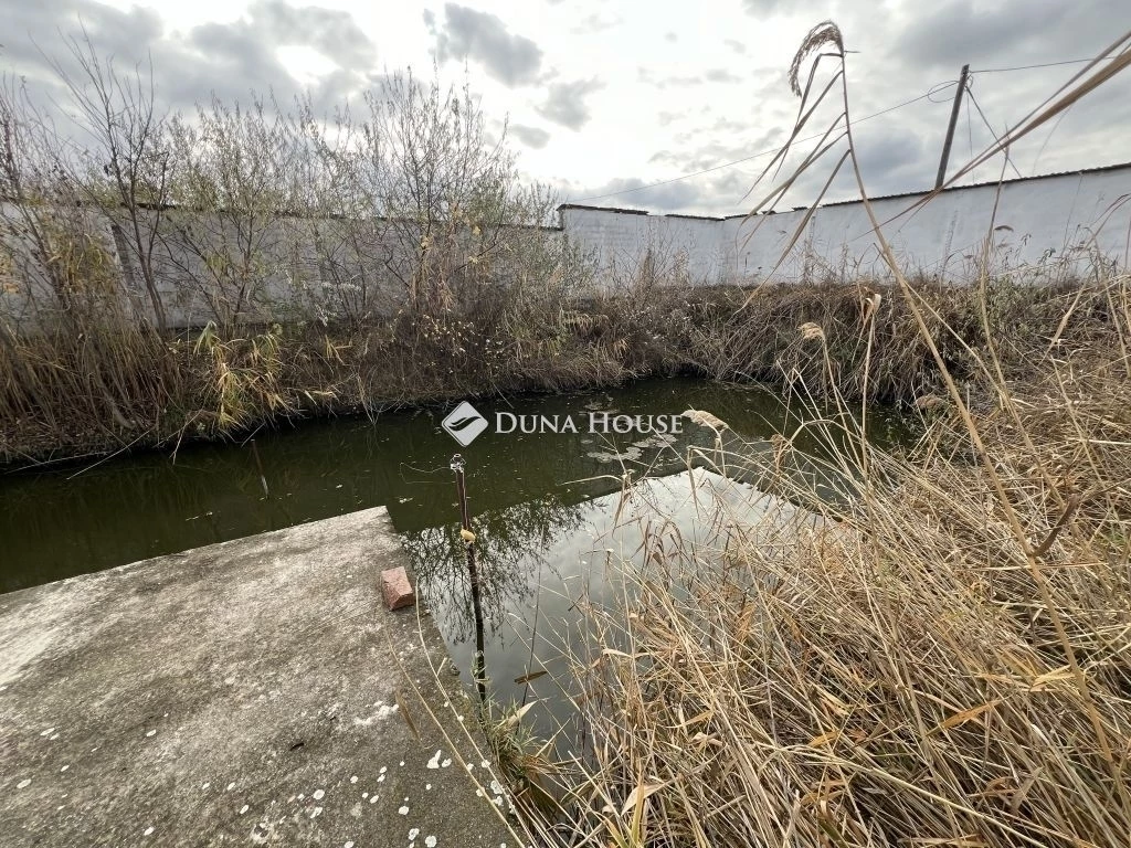 c3-1-name c2-67-name, Szeged, Subasa utca