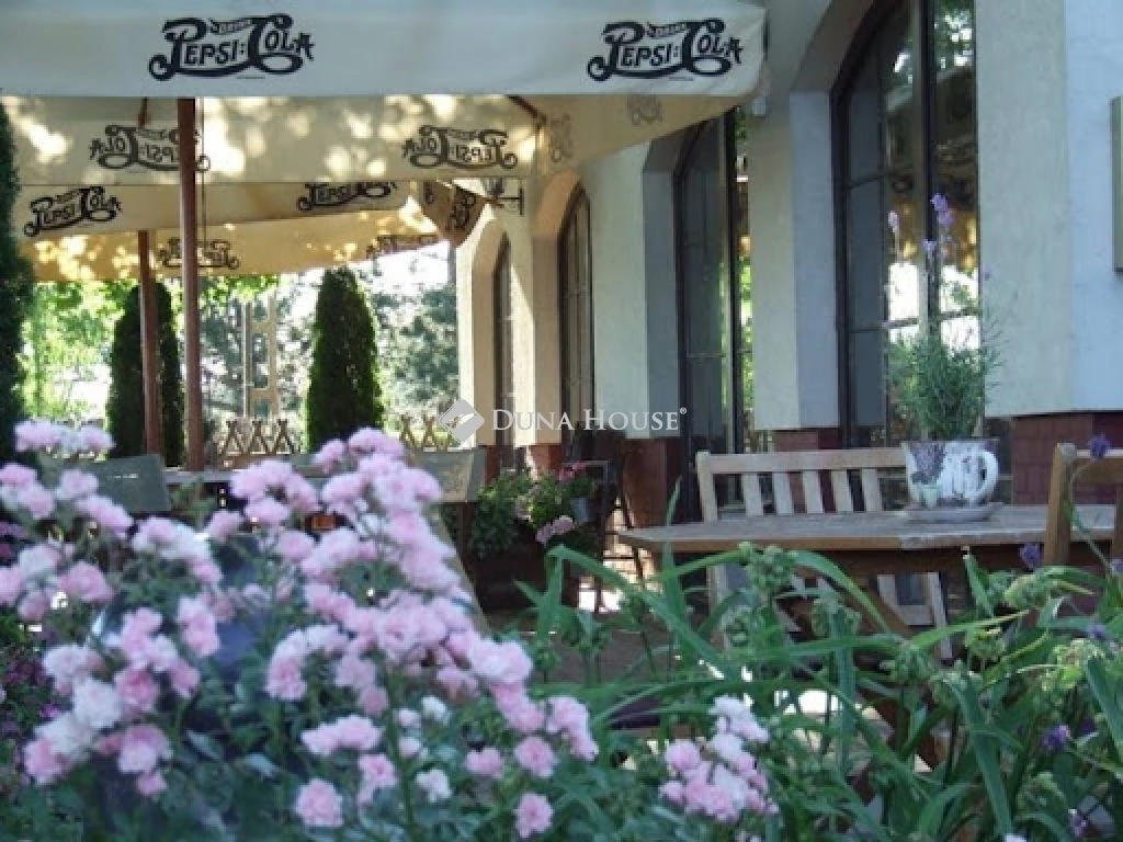 c3-1-name c2-80-name, Csongrád, Szegedi út