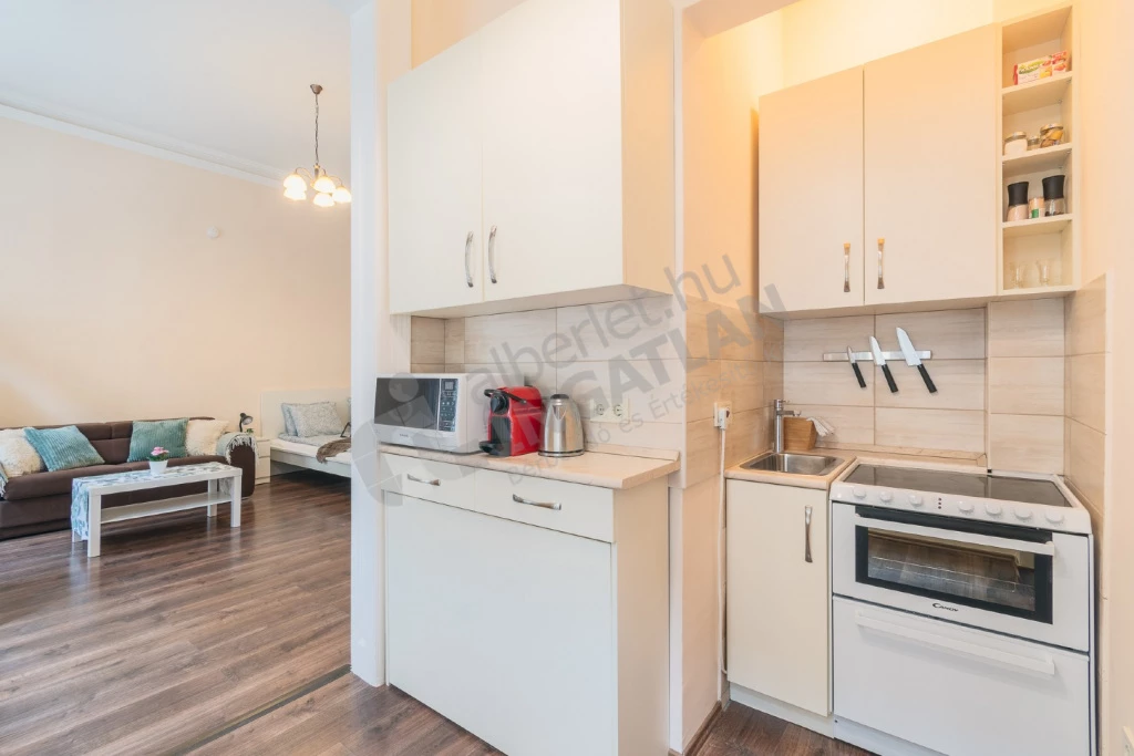 For rent brick flat, Budapest VI. kerület, Hegedű utca