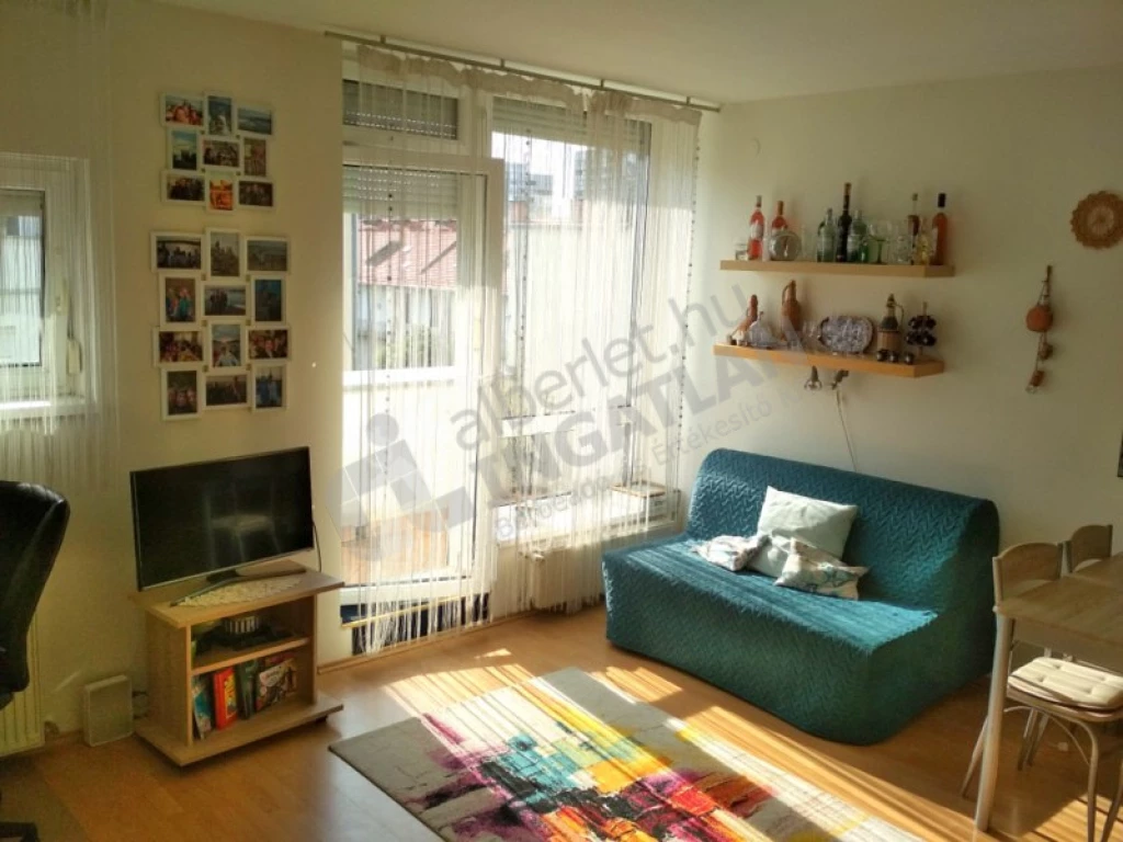 c3-2-name c2-19-name, Budapest VIII. kerület, Kálvária utca