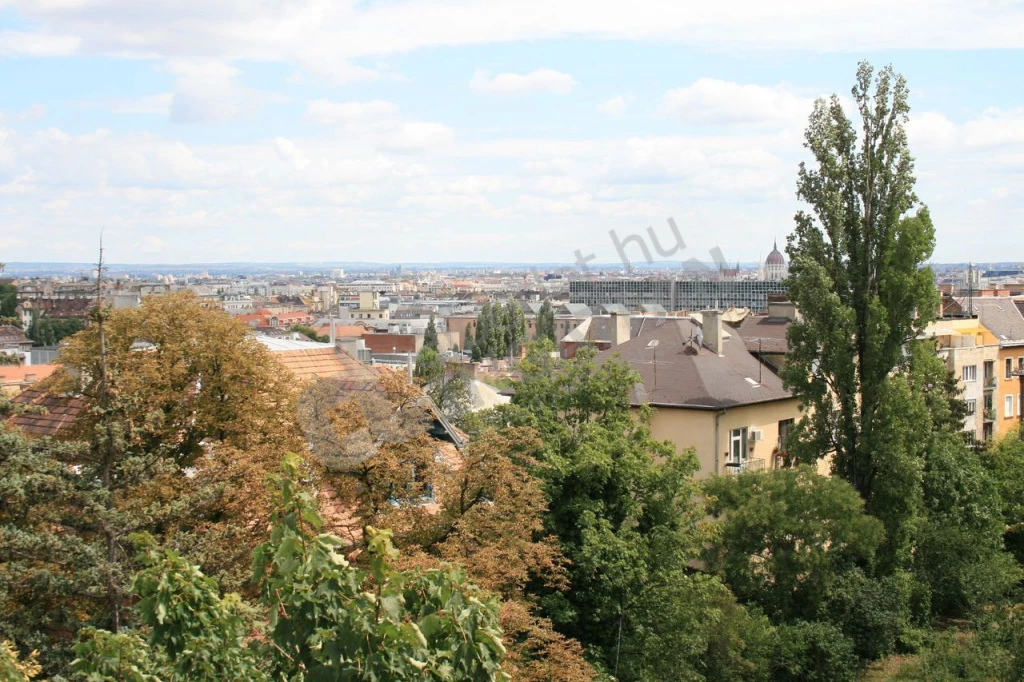 c3-2-name c2-19-name, Budapest II. kerület, Nyúl utca