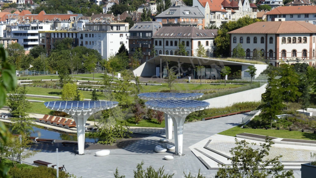 c3-2-name c2-19-name, Budapest II. kerület, Kapás utca