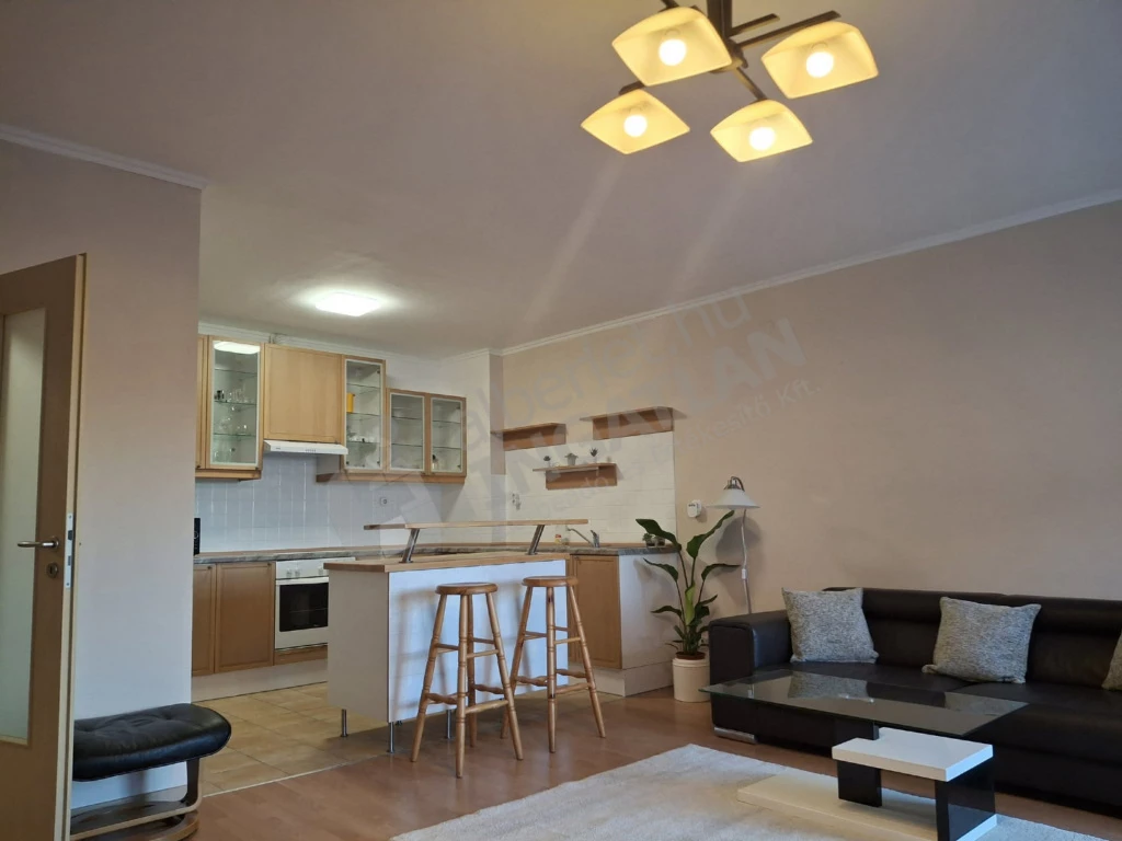 For rent brick flat, Budapest IX. kerület, Kinizsi utca