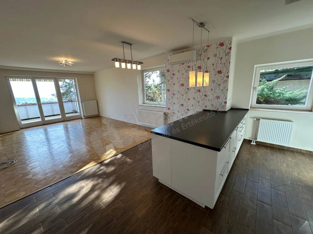 c3-2-name c2-19-name, Budapest II. kerület, Szalamandra köz