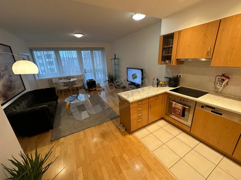 Kiadó téglalakás, Budapest IX. kerület, Lechner Ödön fasor