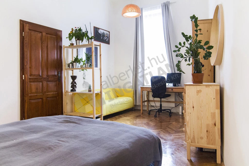 c3-2-name c2-19-name, Budapest VII. kerület, Damjanich utca