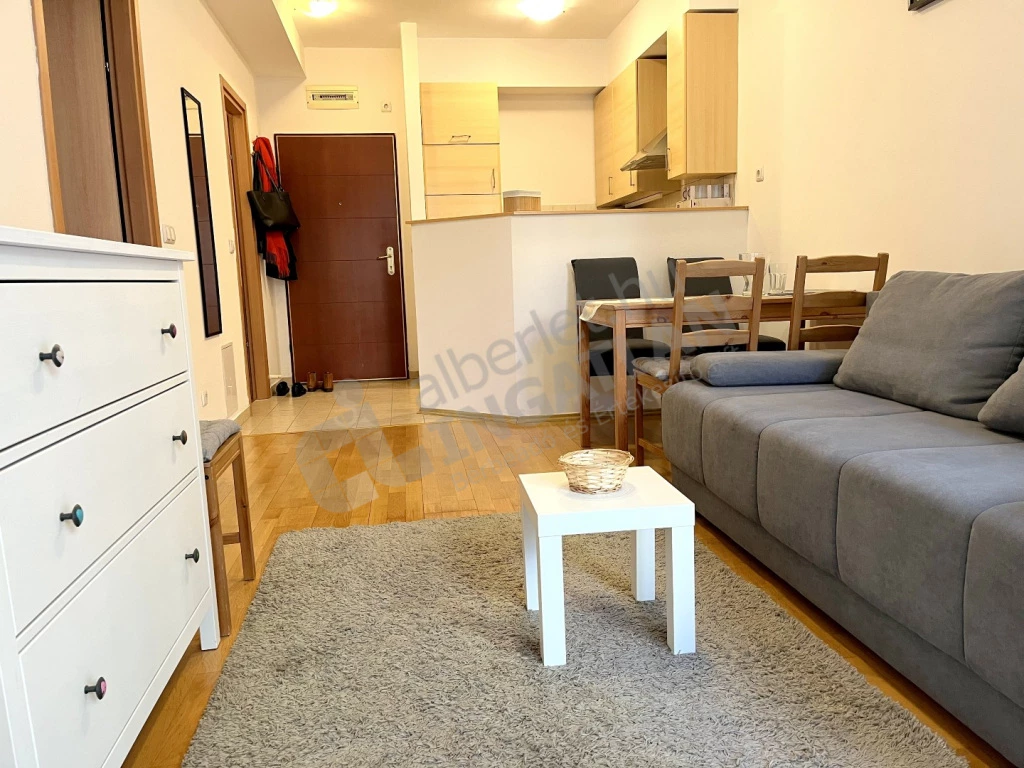 Kiadó téglalakás, Budapest VI. kerület, Király utca