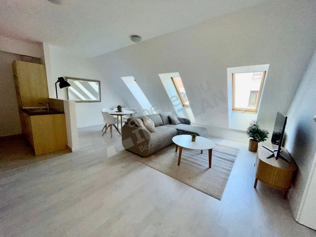 For rent brick flat, Budapest VII. kerület, Holló utca