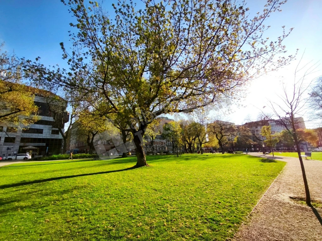 c3-2-name c2-19-name, Budapest IX. kerület, Telepy utca