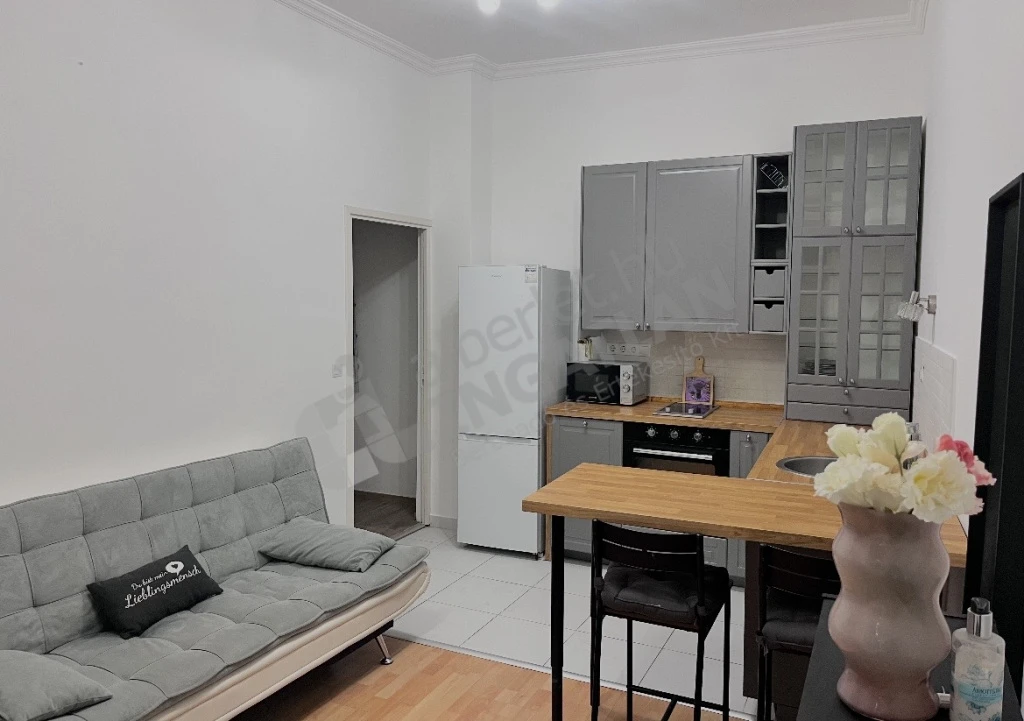 c3-2-name c2-19-name, Budapest VII. kerület, Rákóczi út