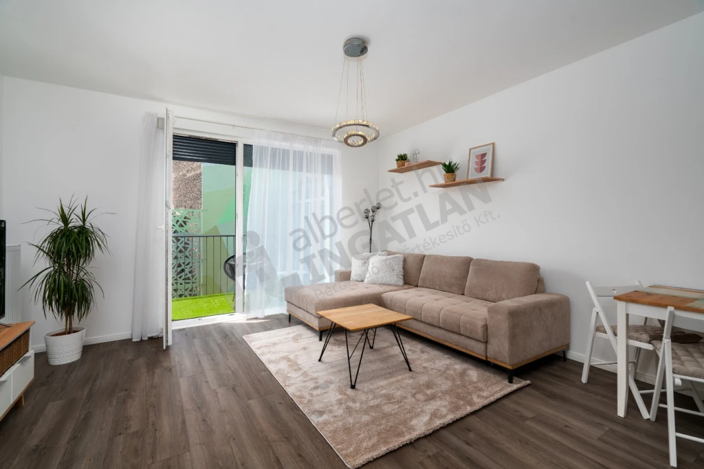 c3-2-name c2-19-name, Budapest VIII. kerület, Bauer Sándor utca