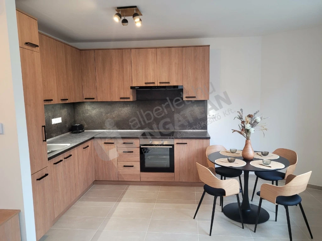 c3-2-name c2-19-name, Budapest IX. kerület, Erkel utca