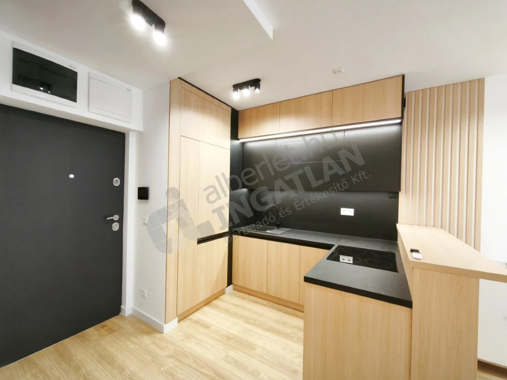 c3-2-name c2-19-name, Budapest VIII. kerület, Illés utca