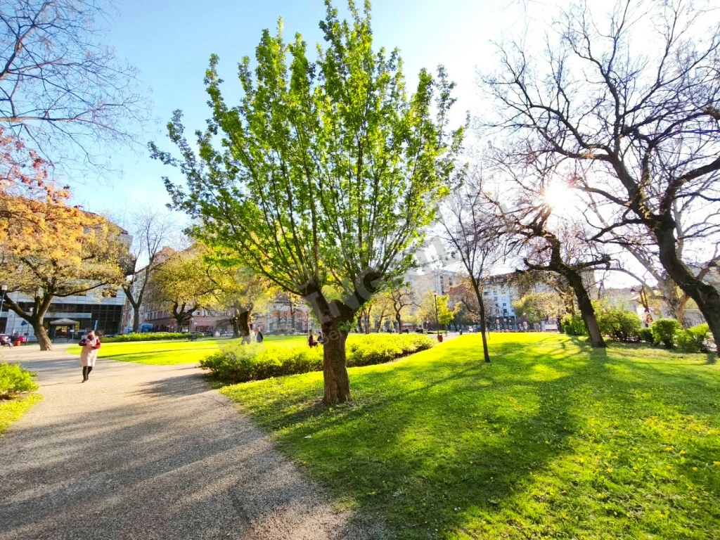 Kiadó téglalakás, Budapest VIII. kerület, Baross utca