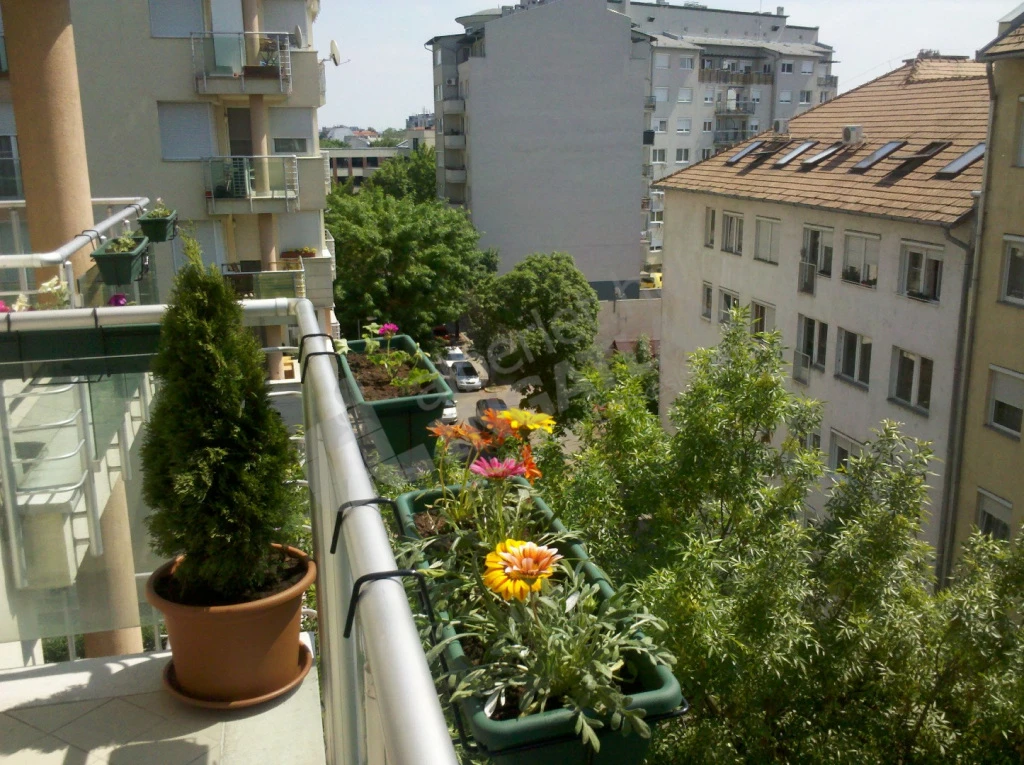 c3-2-name c2-19-name, Budapest XIII. kerület, Gömb utca