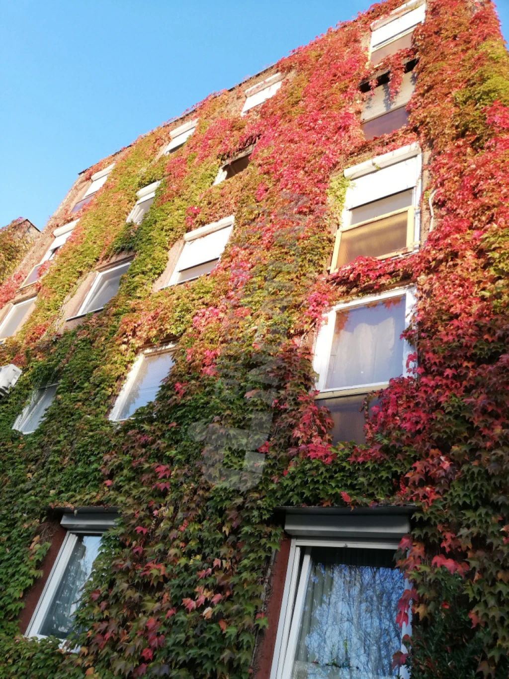 Kiadó téglalakás, Budapest IV. kerület, István út