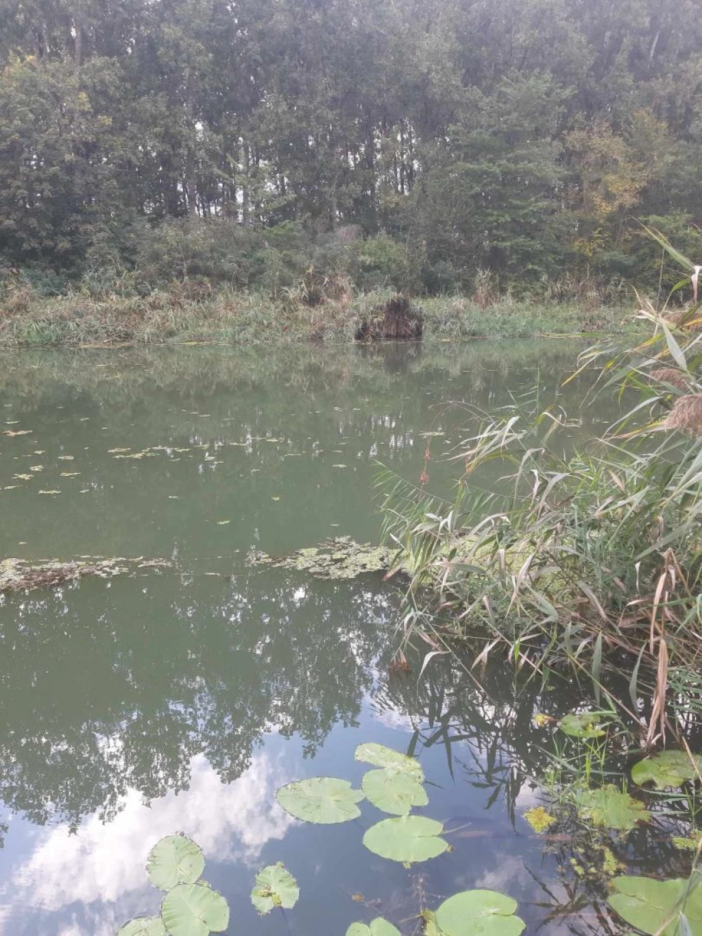 Eladó 500 m2 külterületi telek, Hajdúszoboszló