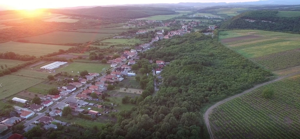 c3-1-name c2-50-name, Demjén